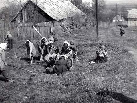 1. fotografia fotogalérie Deti a škola - foto