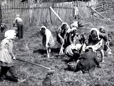 2. fotografia fotogalérie Deti a škola - foto