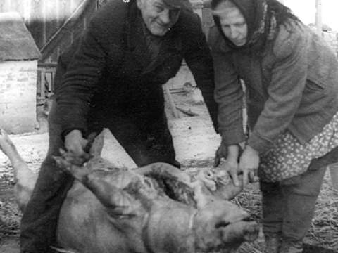 1. fotografia fotogalérie Zabíjačka a kontingenty - foto