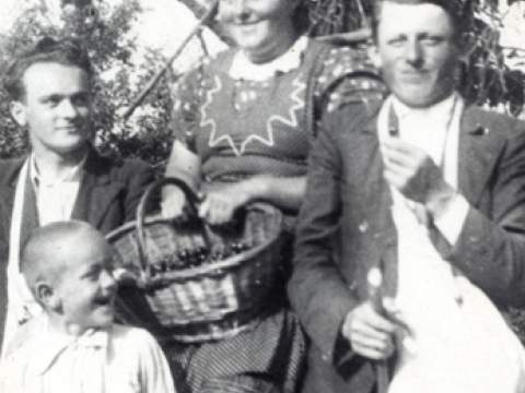 1. fotografia fotogalérie Zber čerešní - foto