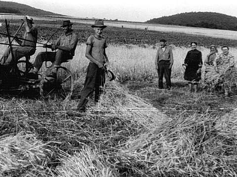 3. fotografia fotogalérie Prvé kosačky - foto