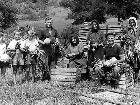 1. fotografia fotogalérie Poľnohospodárstvo - foto