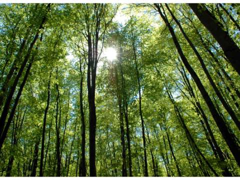 1. fotografia fotogalérie Milič – NATURA 2000 - foto