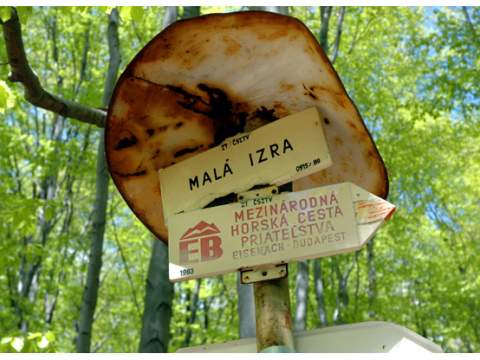 2. fotografia fotogalérie Malá Izra - foto