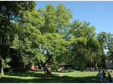 3. fotografia fotogalérie Historický park - foto