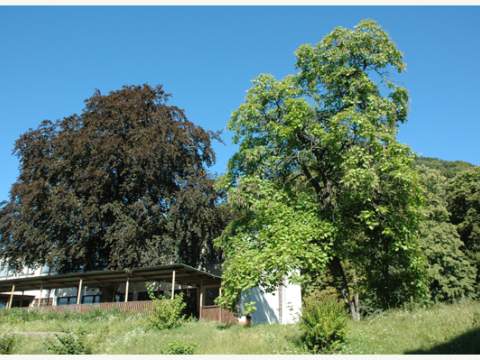 4. fotografia fotogalérie Historický park - foto