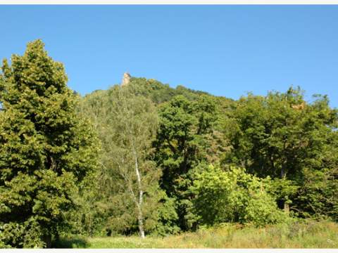 5. fotografia fotogalérie Historický park - foto