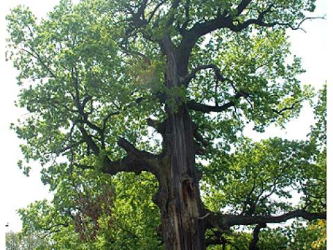 1. fotografia fotogalérie Regeta - foto