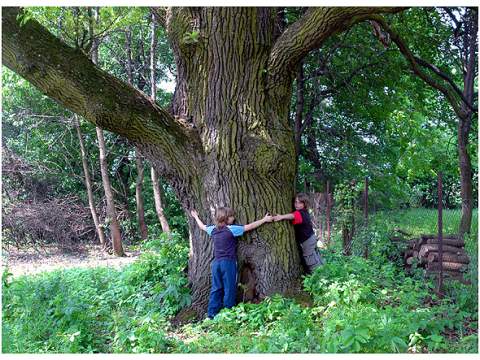 3. fotografia fotogalérie Regeta - foto