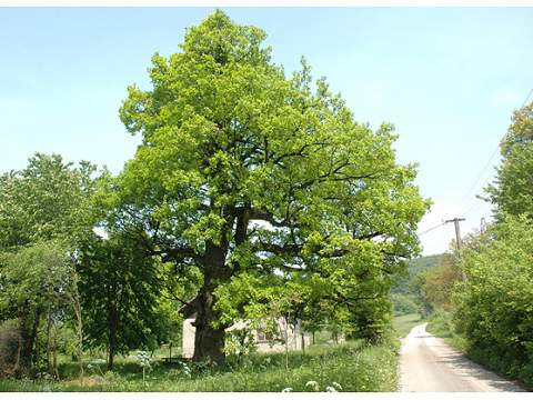 5. fotografia fotogalérie Regeta - foto