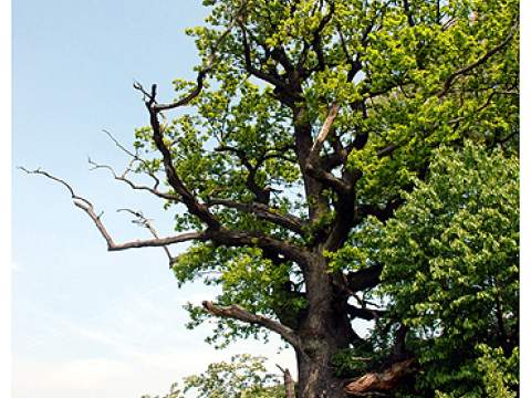 6. fotografia fotogalérie Regeta - foto