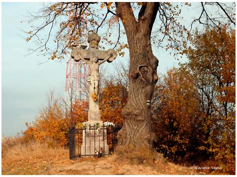 15. fotografia fotogalérie Holička - foto