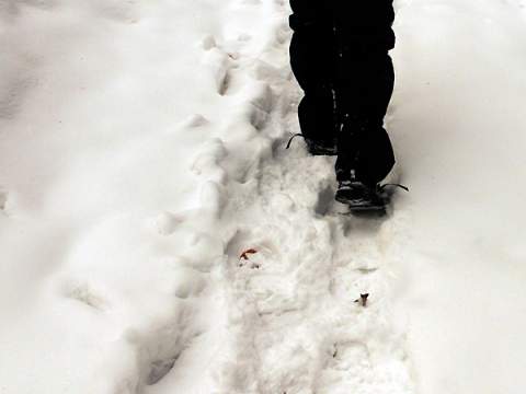 3. fotografia fotogalérie Izra a vojenské bunkre z I. ČSR - foto