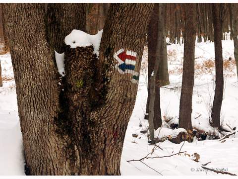8. fotografia fotogalérie Izra a vojenské bunkre z I. ČSR - foto