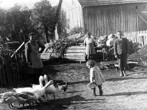 1. fotografia fotogalérie Na hospodárskom dvore - foto