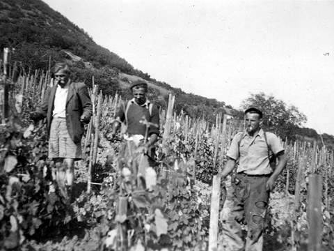 1. fotografia fotogalérie Abovčania alebo Gemerčania? - foto