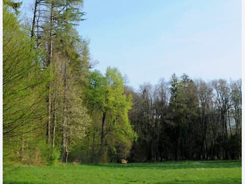 4. fotografia fotogalérie Historický park kaštieľa Betliar - foto