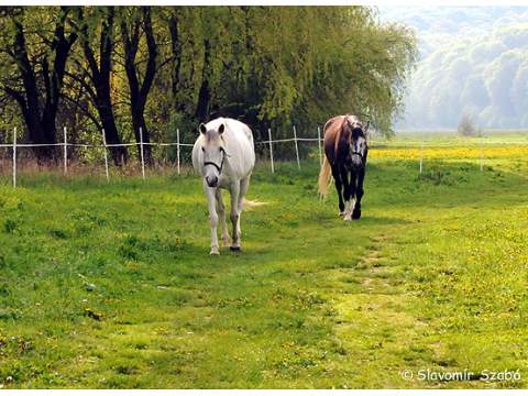 1. fotografia fotogalérie Dievčenská skala - foto