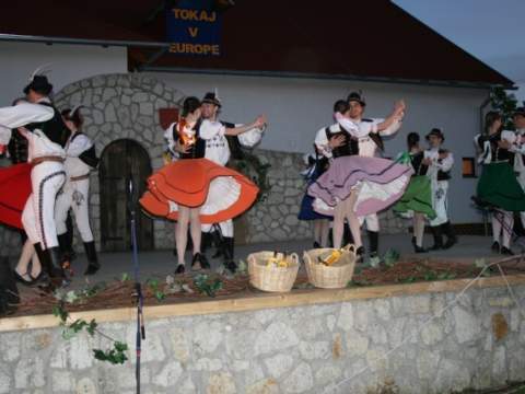 2. fotografia fotogalérie Regionálne osvetové stredisko - foto
