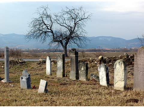 4. fotografia fotogalérie Židovský cintorín v Čerhove - foto