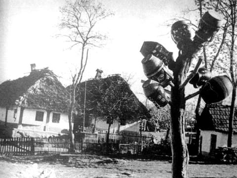 1. fotografia fotogalérie Počiatky hrnčiarstva - foto