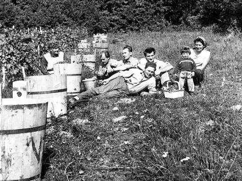 1. fotografia fotogalérie Vo vinohrade - foto