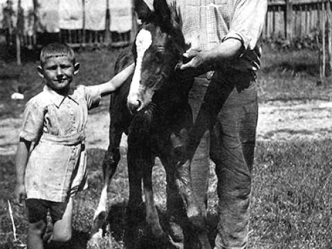 1. fotografia fotogalérie Kone a politické šikanovanie - foto