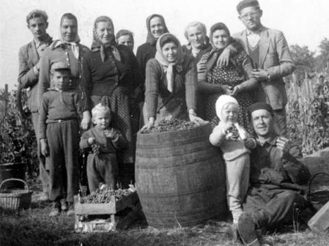 1. fotografia fotogalérie Vinohradnícka tradícia - foto