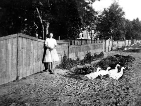 1. fotografia fotogalérie Pastierka husí - foto