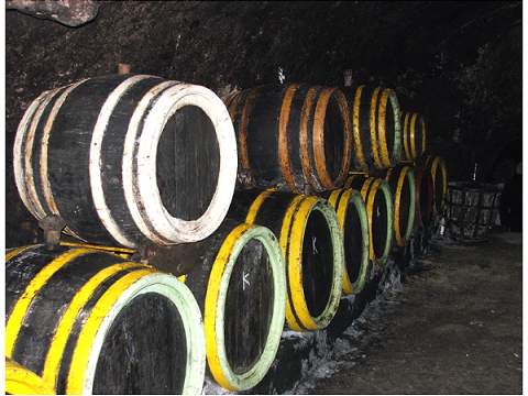 2. fotografia fotogalérie Tokaj na Slovensku a Tokajská vínna cesta - foto