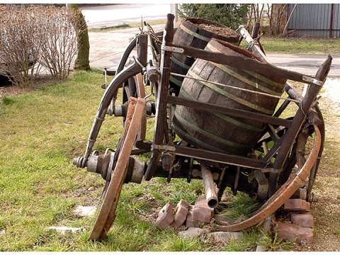 6. fotografia fotogalérie Tokaj na Slovensku a Tokajská vínna cesta - foto