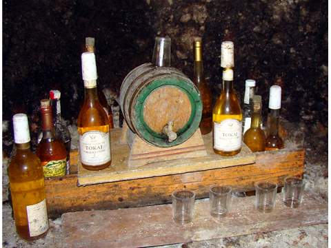 8. fotografia fotogalérie Tokaj na Slovensku a Tokajská vínna cesta - foto