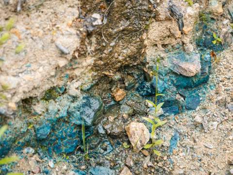 1. fotografia fotogalérie Aktuality / Vládny audit neodhalil pochybenia. Projekt „Biodiverzita'' bol zrealizovaný odborne a transparentne. - foto