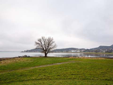 5. fotografia fotogalérie Aktuality / Najväčšia investícia do cestovného ruchu na Zemplíne: župa odštartovala výstavbu Promenády na Šírave za 3,1 mil. eur - foto