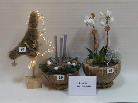 2. fotografia fotogalérie Aktuality / Vianočné inšpirácie 2025: Svetlo Vianoc - foto