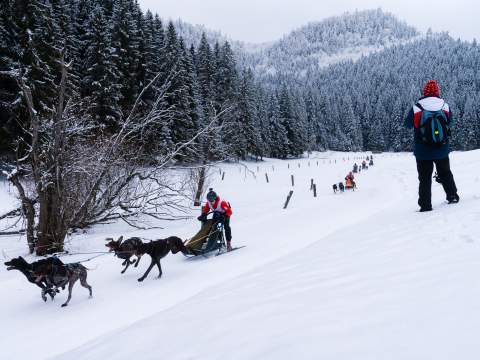 6. fotografia fotogalérie Aktuality /  Aljaška v srdci Slovenského raja - foto