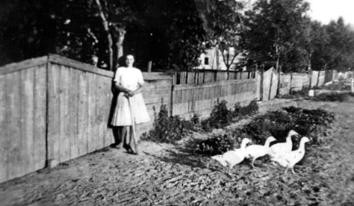 Fotka - Pastierka husí