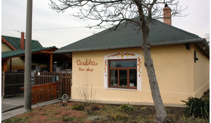 Fotka - Tokaj na Slovensku a Tokajská vínna cesta