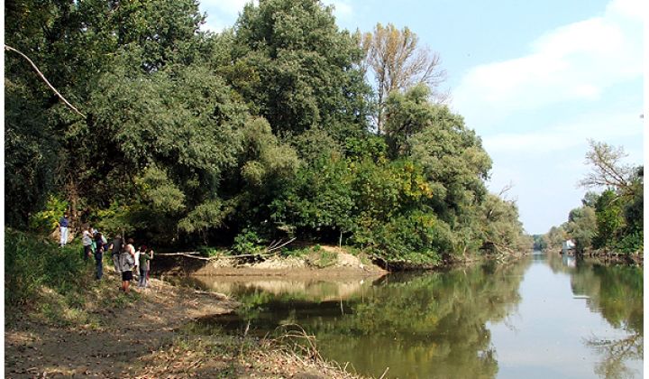 Fotka - Borša-Zemplín